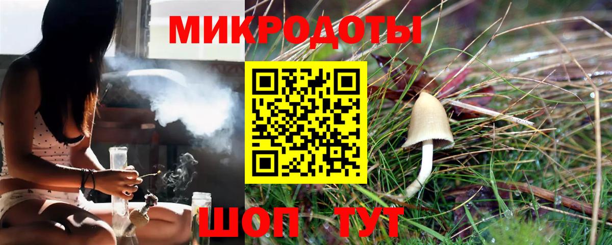 Галлюциногенные грибы мицелий Орёл