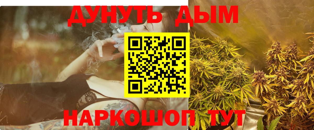 Бошки Шишки SATIVA & INDICA  Канабис Bruce Banner  Каннабис семена  Орёл  Вход с VPN 